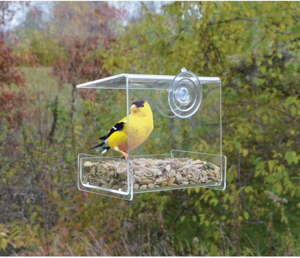 Songbird Essentials Clear View Mini Window Feeder