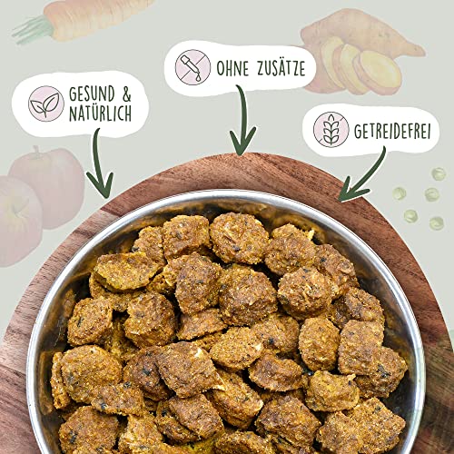 Fidelis - Getrocknetes Lachs-Menü für Hunde 1kg - Premium Hundefutter trocken mit 80% Fischanteil, Gemüse & Obst - Proteinhaltiges Trockenfutter Hund schonend getrocknet - Zucker- & Getreidefrei