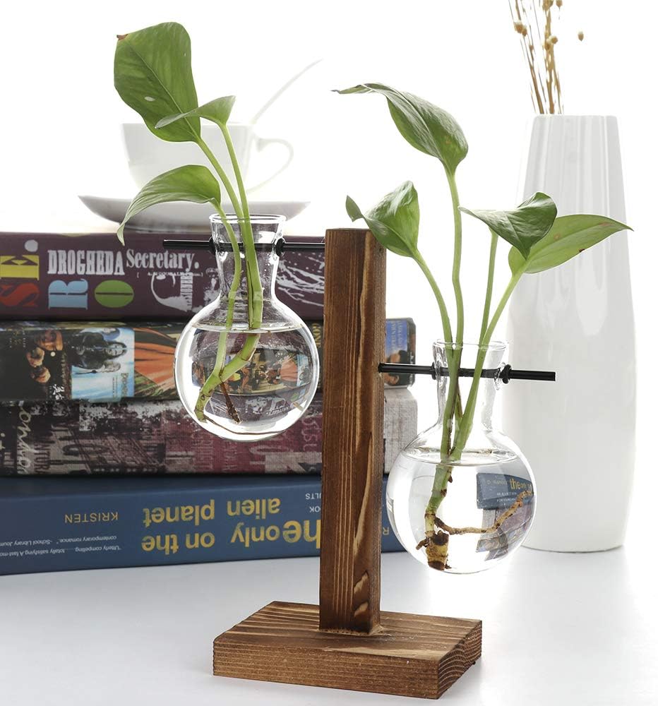 Glass Planter Bulb Vase, Plant Terrarium with Wooden Stand, Desktop Plant Terrarium, Glass Vase Propogation Station for Hydroponics Plants Home Garden Office Wedding Decor(B)