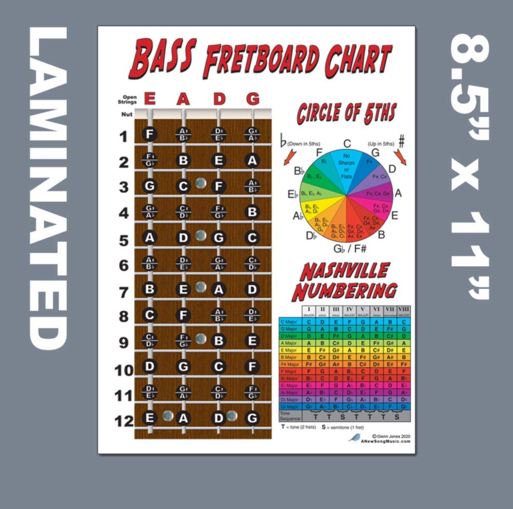 Buy Laminated 4 String Bass Fretboard Notes Chart Nashville Number