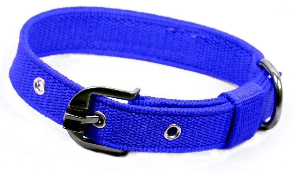 M2 LOOK Nylon Collar for Medium and Large Dogs 1.25-inch Multi (Multi-Color Very) (B0915W4WXW) Amazon Price History, Amazon Price Tracker