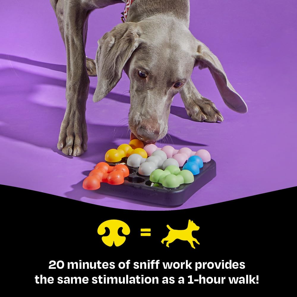 Brightkins Kanoodle Dog Edition – puzzle interattivo per cani intelligenti – gioco mentale antistress – resistente e compatto – ideale per snack e stimolazione