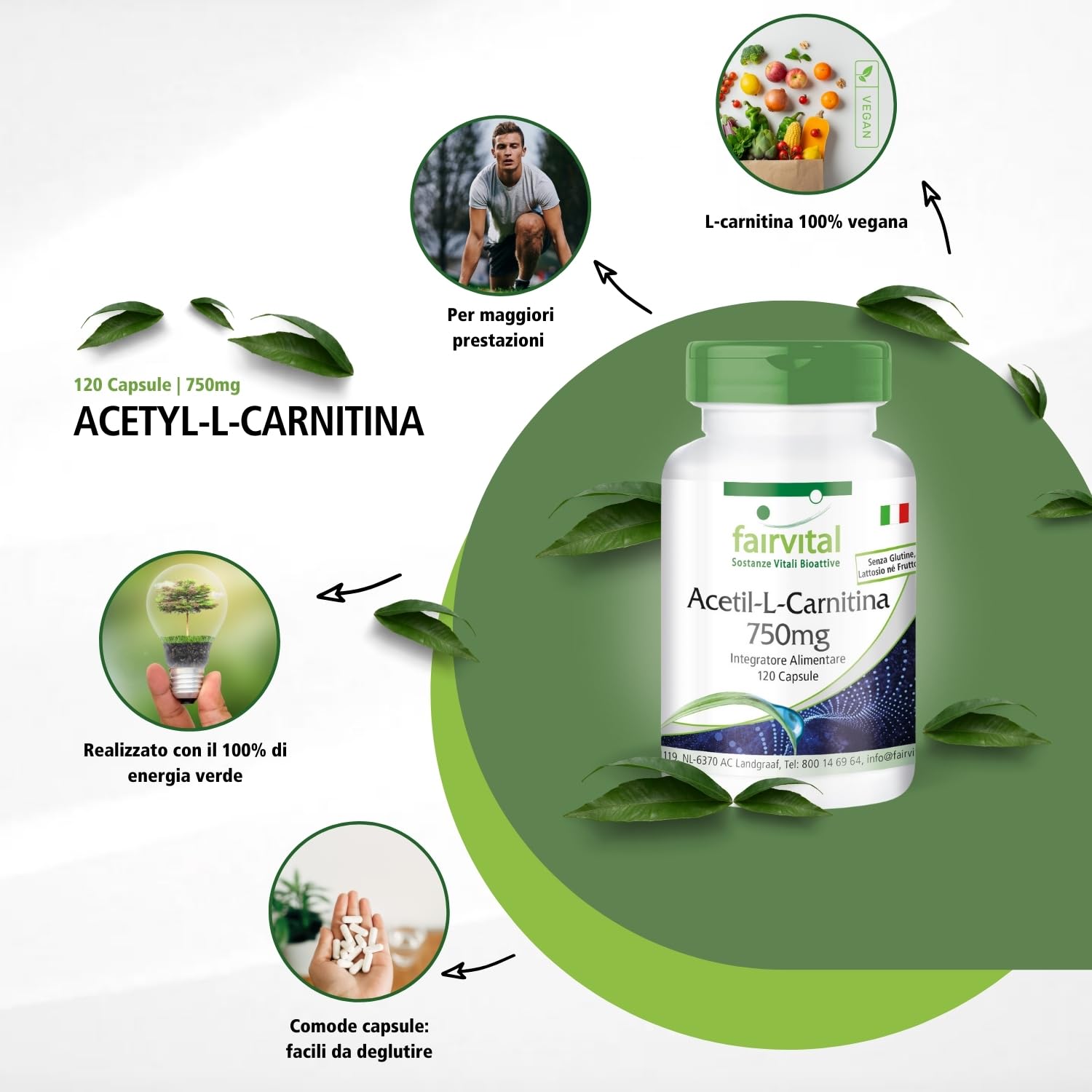 Acetil L-carnitina in polvere, aminoacido in forma libera, 100 g