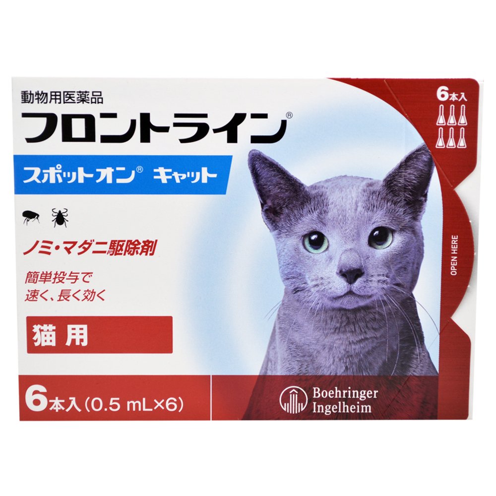 猫騙/Megalomania 帯付き 猫騙/Megalomania 帯付き