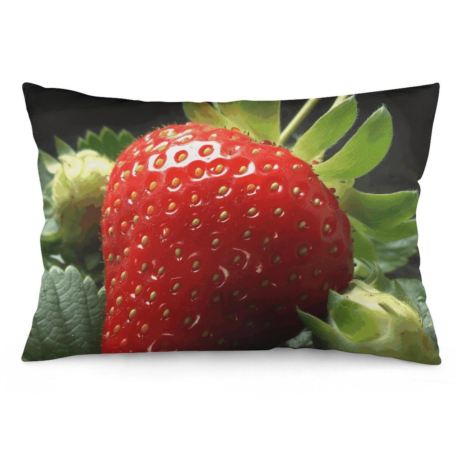 2 Pack Pillow Cases for Hair and Skin, Soft Breathable Pillow Case Covers with Hidden Zipper, Fruit Strawberry Pillowcase 20"x30" Pillow Covers for Sleeping Gift