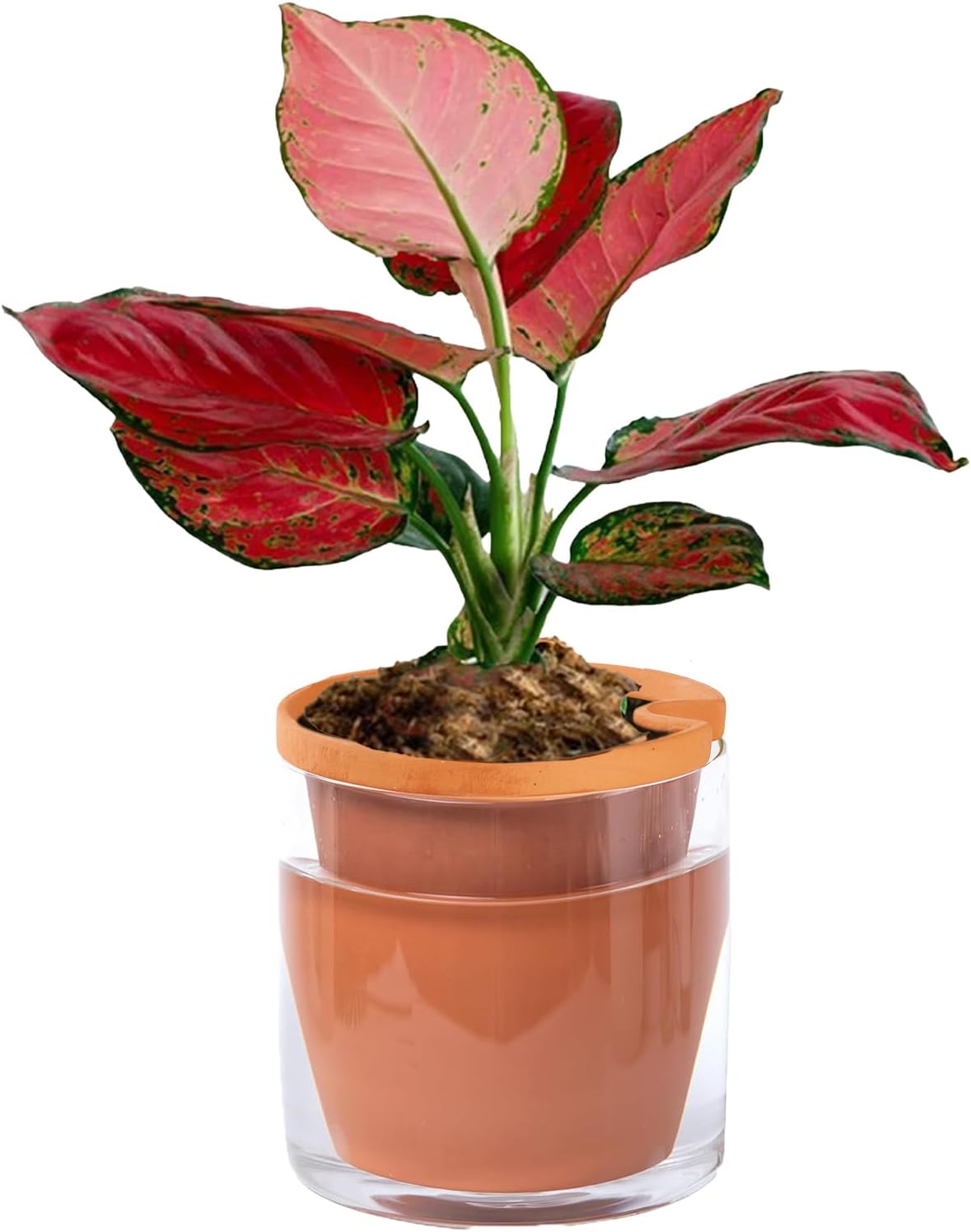 4 Inch Self Watering Planter Pots, Terracotta Clay Pots with Cylinder Glass Cup for Indoor Plants, Herbs, Flowers 4in-2 pcs 