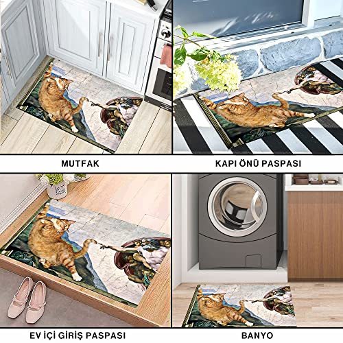 Monnhein Kedi Köpek Komik Tasarımlı Dekoratif Kapı önü Paspas, Dış Mekan/Ev İçi/Banyo/Mutfak/Yatak Odası/Giriş Paspasları (Kedinin Yaratılışı, 45x70)