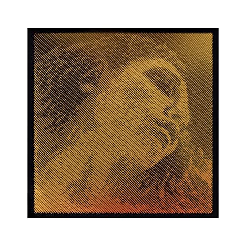 Pirastro Evah Pirazzi Gold Violin String Set - Silver Wound G - Ball E - Medium Gauge #TOP2