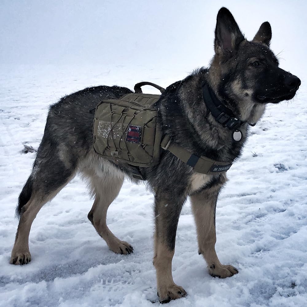 EXCELLENT ELITE SPANKER Sac à Dos pour Chien Hound Sac à Dos de Selle pour Le Voyage, Le Camping et la randonnée pour Chiens de Moyenne et Grande Taille avec 2 Poches latérales spacieuses(BLK-L)