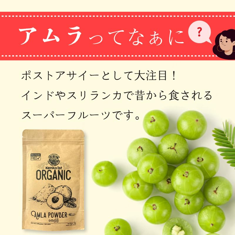 Amazon.co.jp: アムラパウダー 無添加 オーガニック 100g 有機 JAS認証