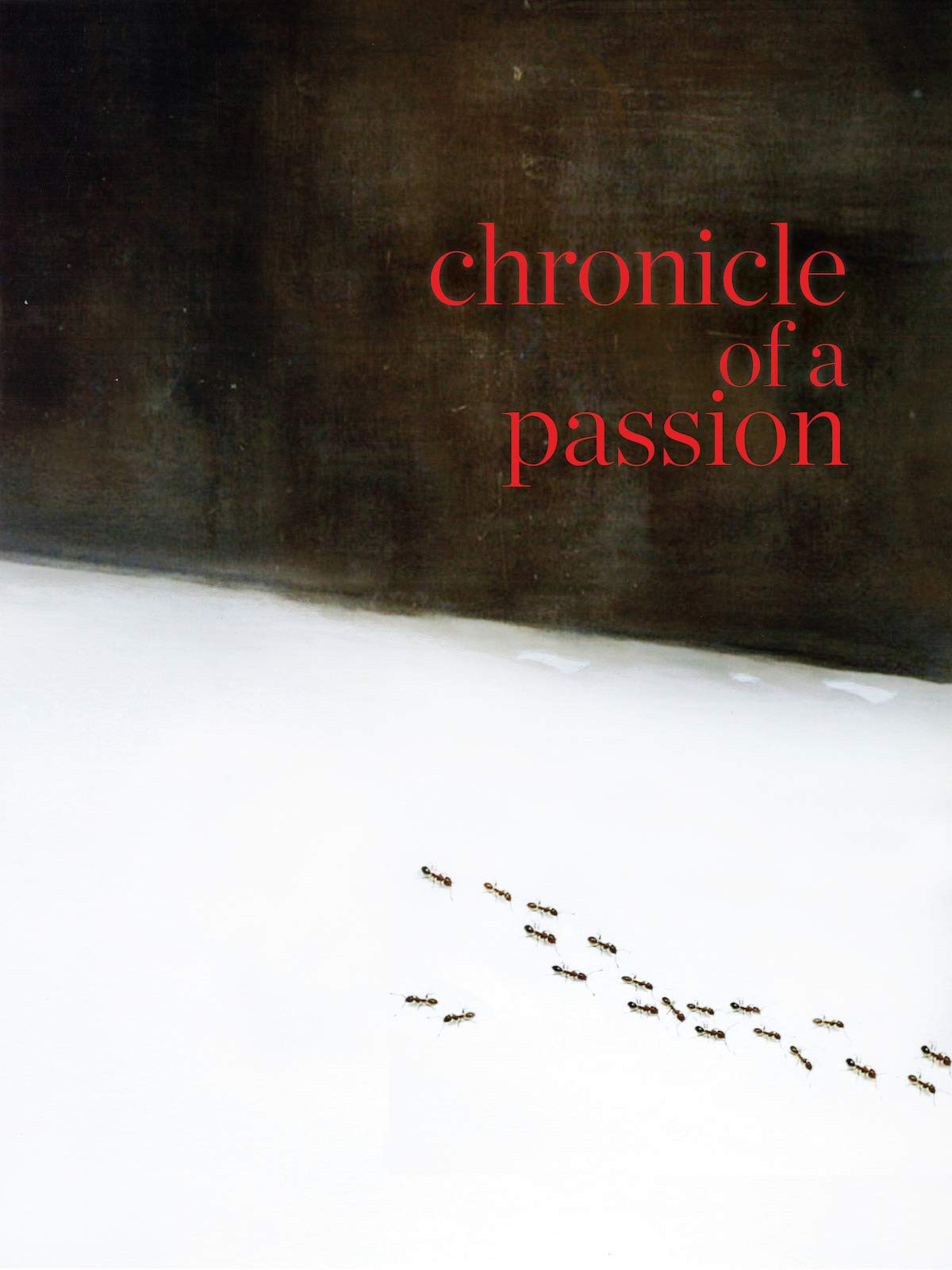 Chronicle of a passion