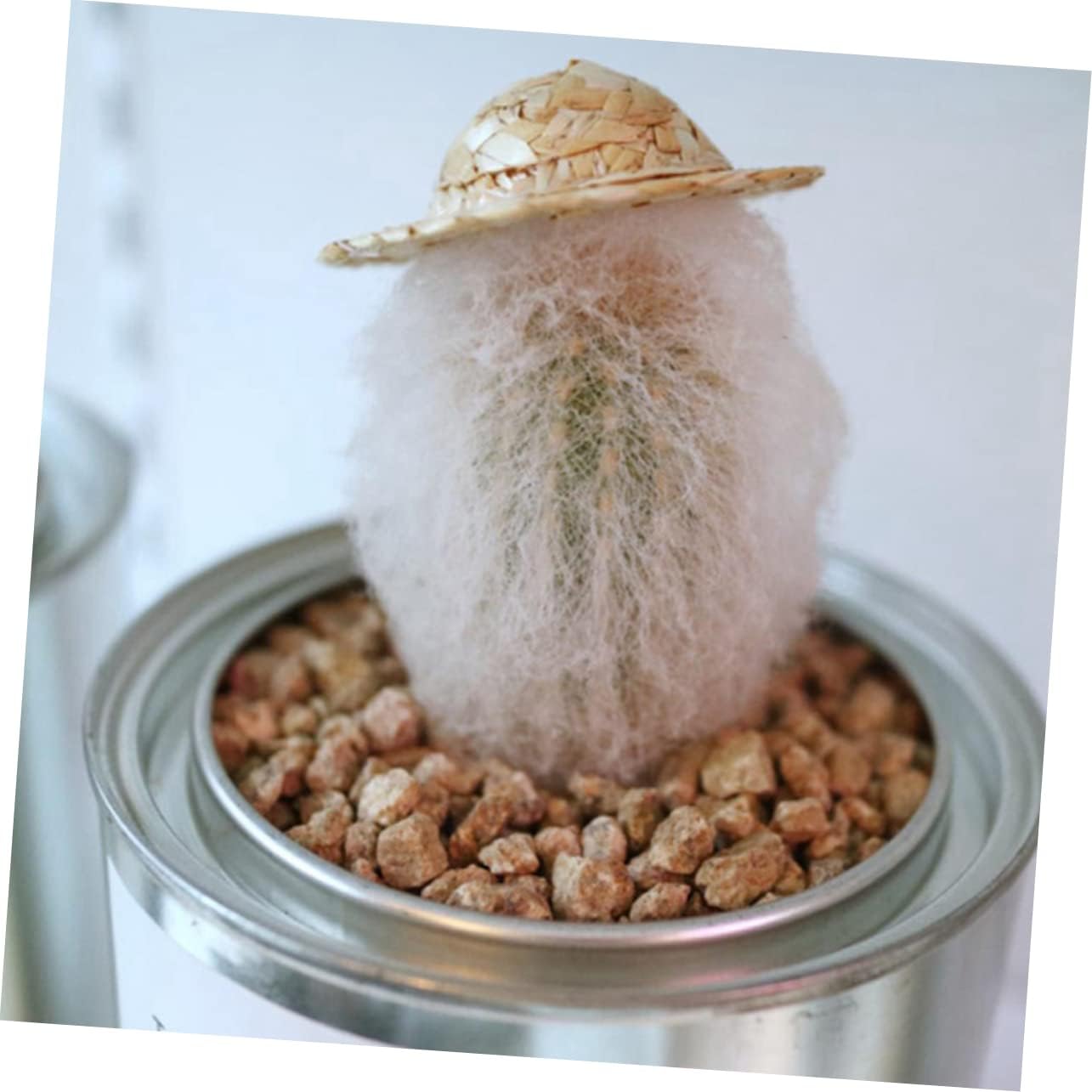 INOOMP 20pcs Mini Straw Hats for Dolls Handcrafted Woven Doll Caps Decorative Accessories for Home Decor and Craft Projects