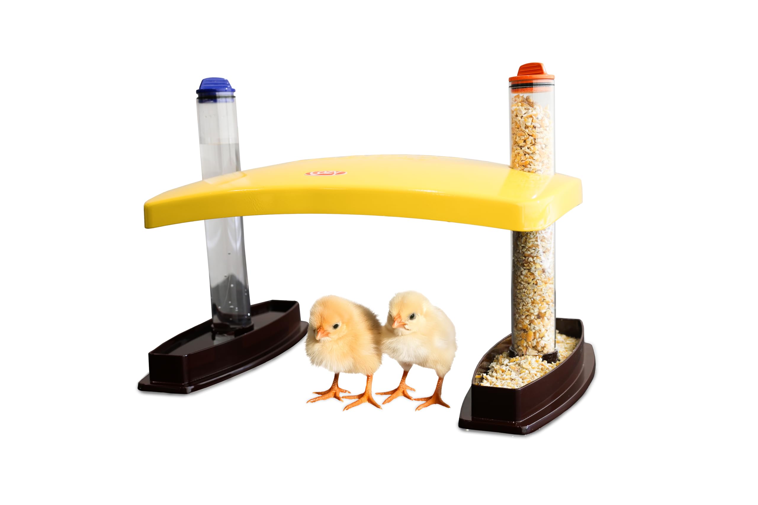 Cozy Chickens - Hábitat para criar pollitos, 100 W, agua y tubos de alimentación