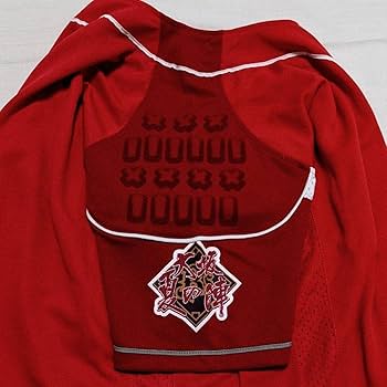 Amazon.co.jp: オリックスバッファローズ 大阪 夏の陣