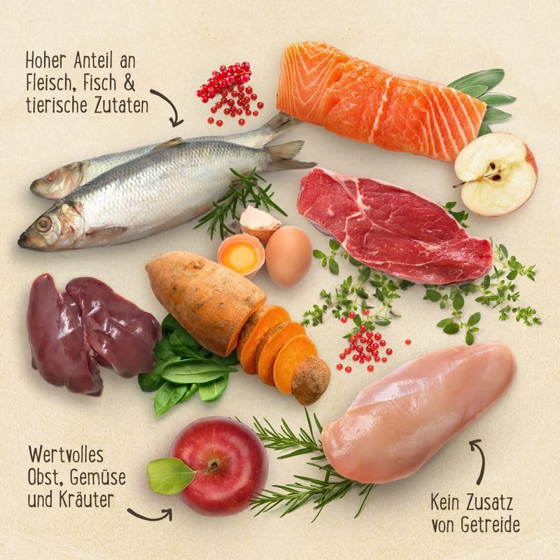 Purizon Original Adult Huhn mit Fisch | Katzenfutter trocken | Getreidefreies und proteinreiches Katzenfutter: 70% tierische Zutaten | 6,5 KG