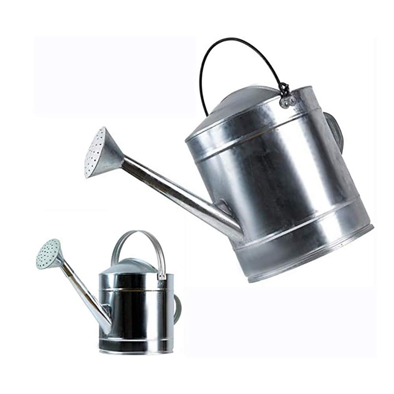 Regadera Metálica - Galvanizada de Calidad 5L/7L/10L/12L/15L/18L Gran Capacidad, Resistente Anti Óxido, Regadera Desmontable, para Grandes Jardines Pequeños Flores y Plantas,10L