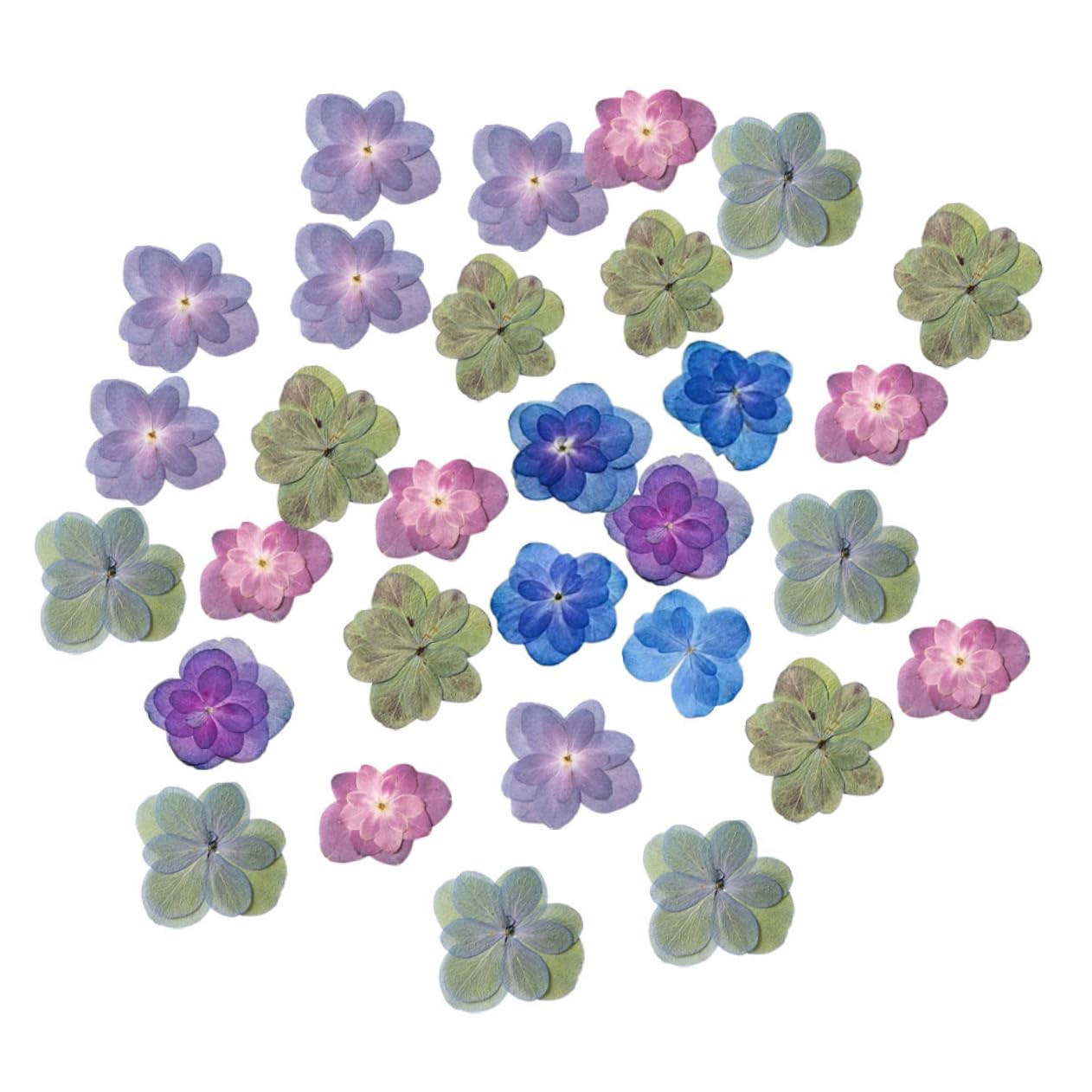 DECHOUS 5 Sets Handgefertigtes Bastelset Mit Getrockneten Blumen Mini-gepresste Blumen Für Harzprägung Dekorelemente 30 Stück * 5