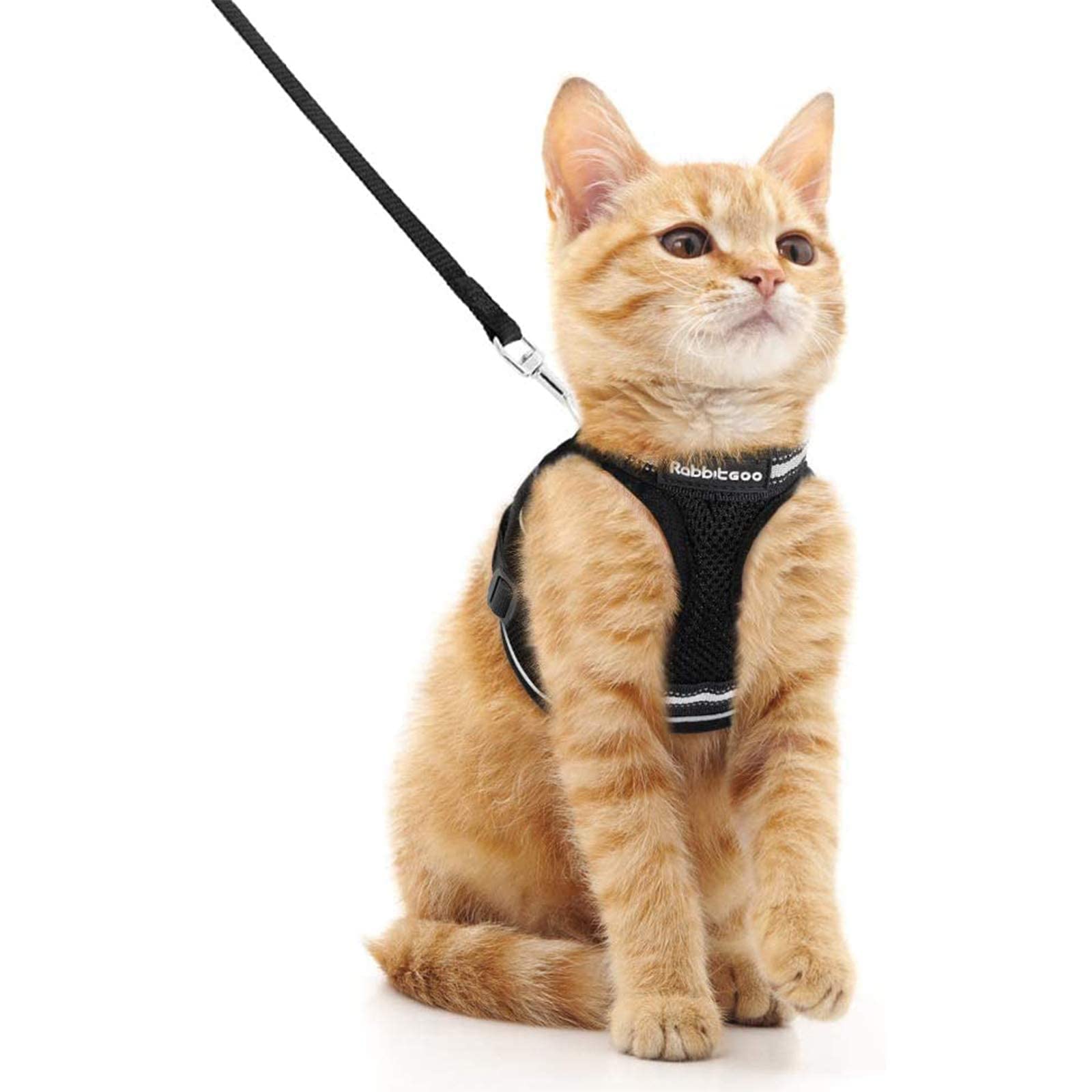 rabbitgoo Pettorina Gatto Antifuga, Guinzaglio Gatti Regolabile, Imbracatura Ultra-Leggero Morbido Riflettente per Cucciolo, Gattini e Gatto Piccolo, Pettorina per Passeggio e Corsa, M, Nero