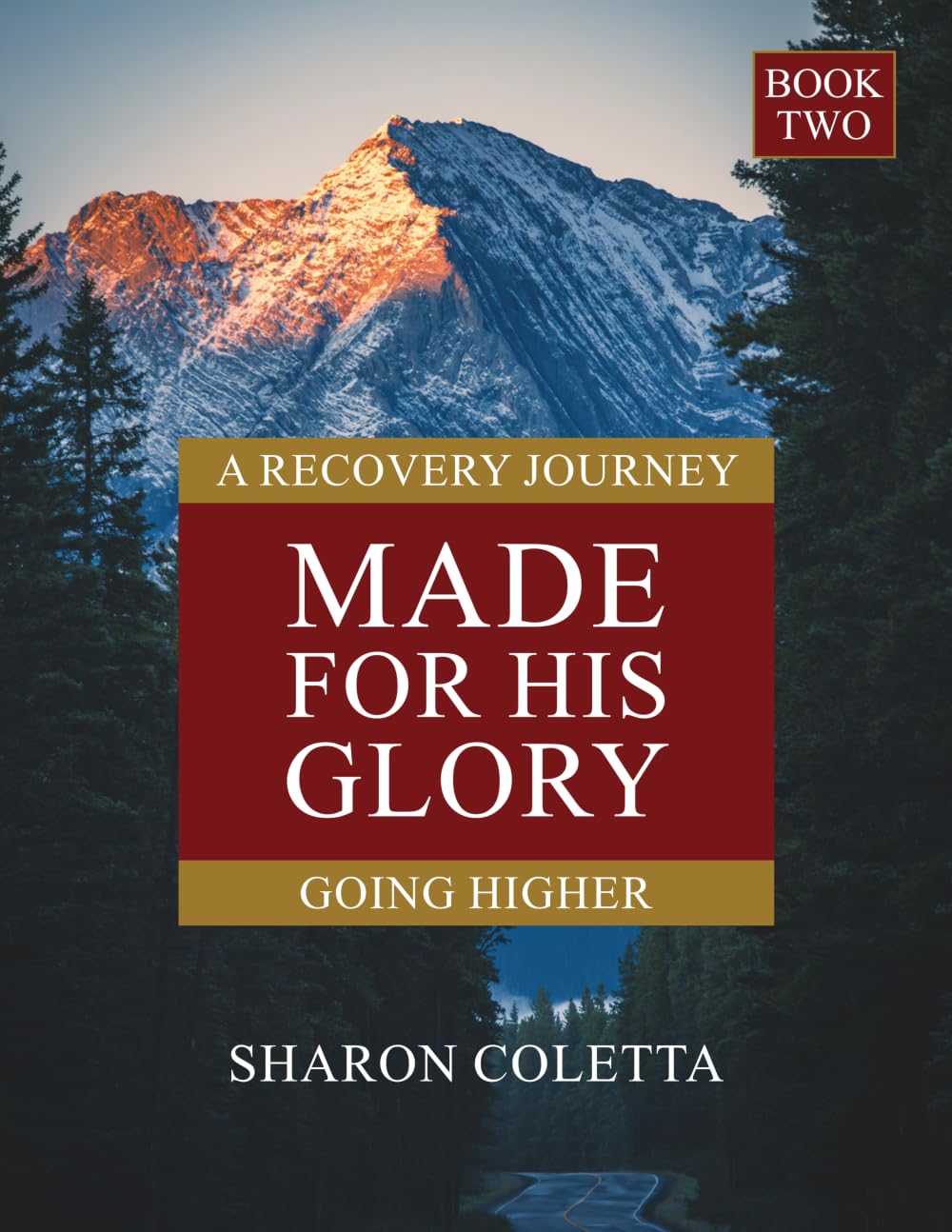 Going Higher (Book Two) (Made for His Glory)