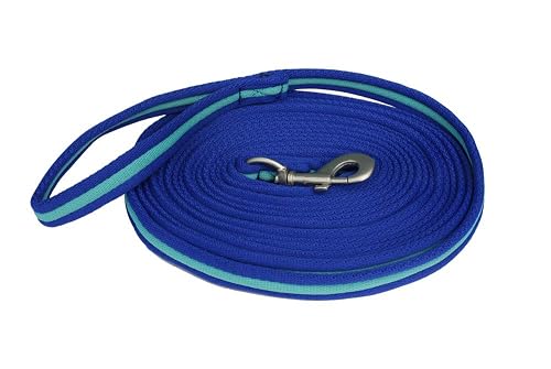 Rhinegold Carnival Bright Lunge Rein-Royal/Turquoise Rienda Brillante, Unisex, Azul Real/Turquesa, Talla única