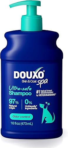 DOUXO Skin & Coat SPA Champú para perros con olor ultra seguro para control de olores, 16 onzas líquidas, limpia e hidrata la piel, elimina el olor,