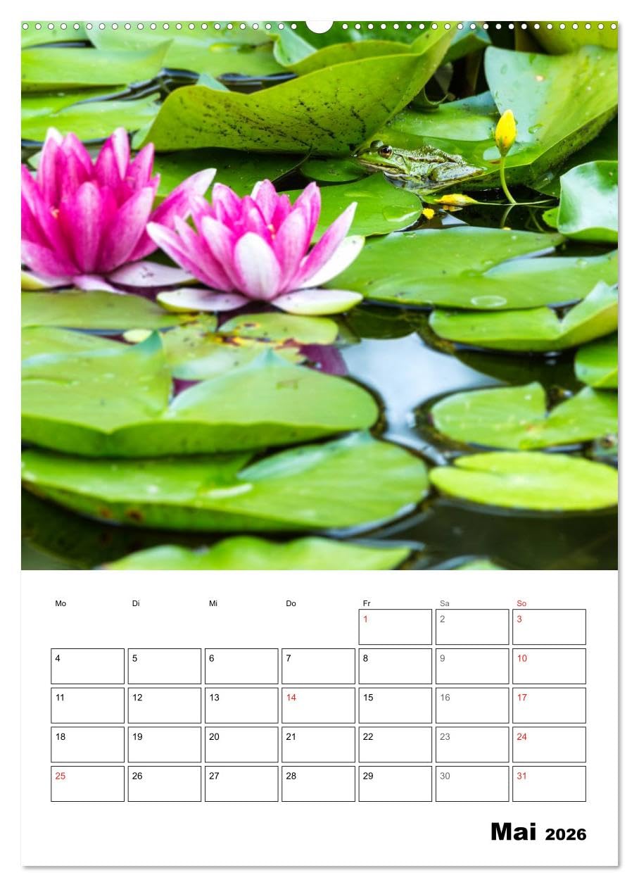 Farben der Natur (hochwertiger Premium Wandkalender 2026 DIN A2 hoch), Kunstdruck in Hochglanz: Farben für die Seele! Jede Farbe hat eine Wirkung und ... Gefühle und unsere Stimmung. (CALVENDO Natur)
