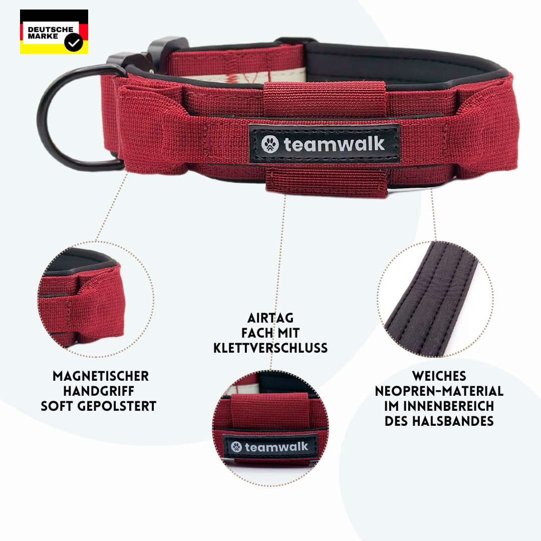 Collare per cani di alta qualità, con manico magnetico, strisce luminose, borsa Air-Tag, regolabile individualmente, imbottitura morbida, fibbia robusta, disponibile con guinzaglio abbinato,