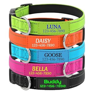 Personalisierte Hundehalsband mit Namen, Silikon ID Hundemarke, Verstellbarer Reflektierend Weich Gepolstertes Komforthalsband aus Nylon, für Kleine, Mittel, Große Hunde - Amazon product rated Grade A