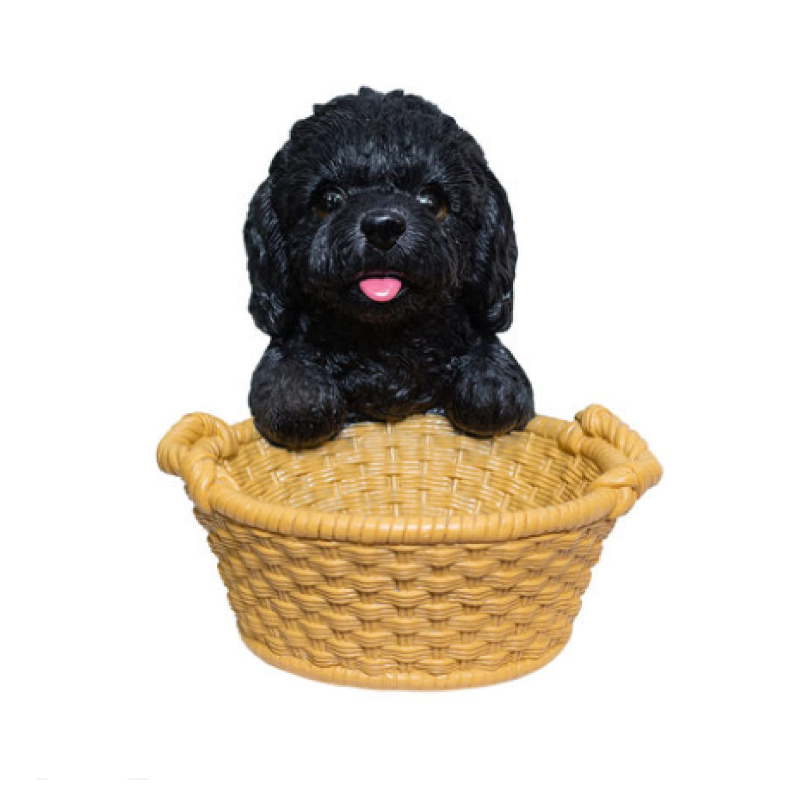 Accessoires plante succulente pot de fleur chien nounours noir comme cadeau d'école