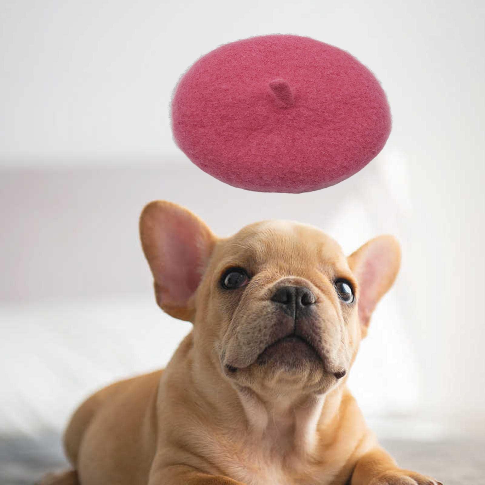 Baskenmütze Für Hunde - Französischer Beret In Rot Für Haustiere