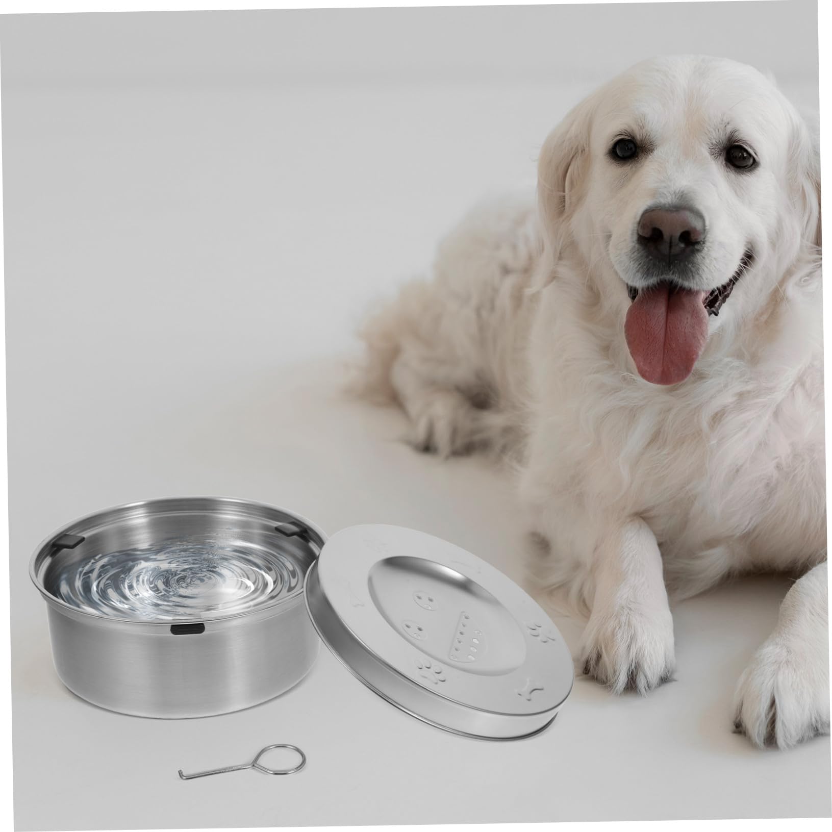Wassernapf Silberfarbener Edelstahl mit Schwimmendem Design für Hunde und Rostfreiem Schutz Futternapf für Kleine Welpen und Ausgewachsene Hunde im Alltag