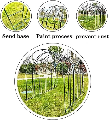 Arche de jardin large 350cm support tuteur pour rosier grimpant - 5