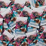 Magic: The Gathering Foundations Opakowanie zbiorcze pakietów Jumpstart (Wersja Angielska)