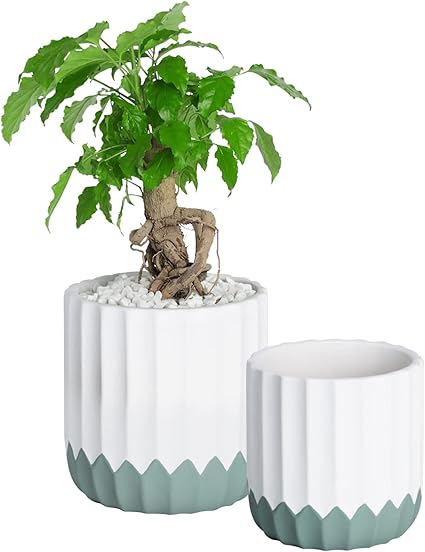 Amazon Co Jp Amj 植木鉢 陶器 2個セット おしゃれ シンプル 可愛い プランター 鉢底ネット付 北欧室内 多肉植物 観葉植物 ホワイト 15cm グリーン Diy 工具 ガーデン