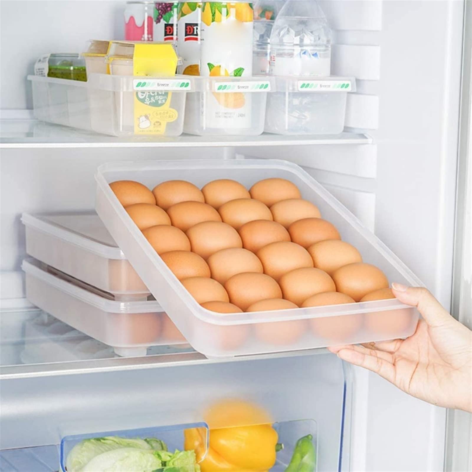 Eierablage aus Kunststoff, Transparenter Eier-Aufbewahrungsbehälter for Kühlschrank, 31,5 x 23, 4, cm, 24 Stück, stapelbarer Kunststoff