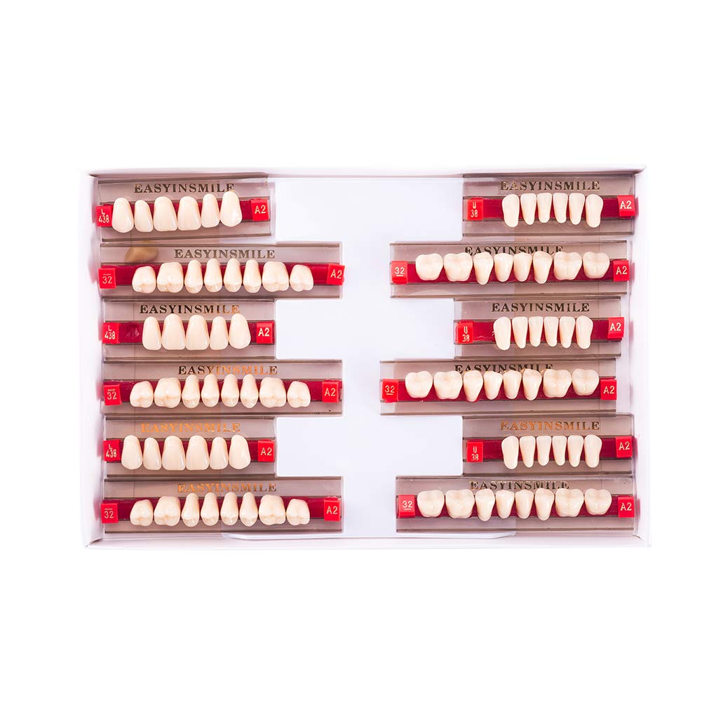 Amazon.com: Easyinsmile Dental Synthetic Resin Teeth A2 A3 False