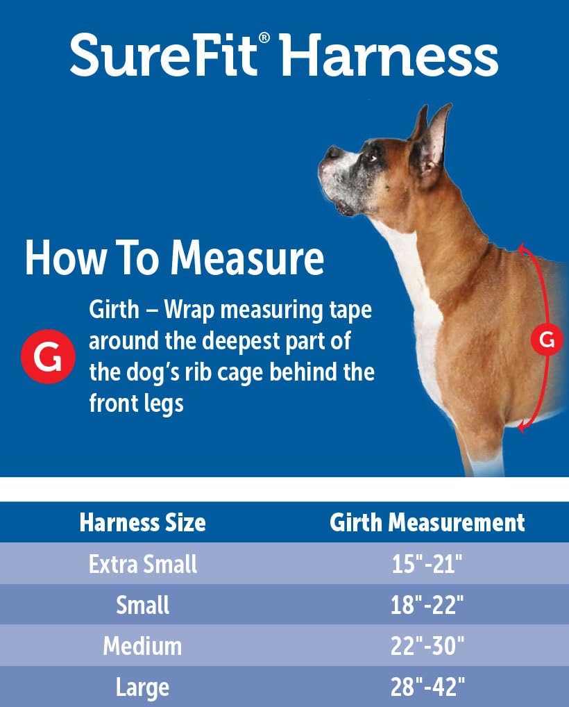 PetSafe Sure-Fit Harness, Adjustable Dog Harness from the Makers of the Easy Walk Harness, ROYAL BLUE, SMALL