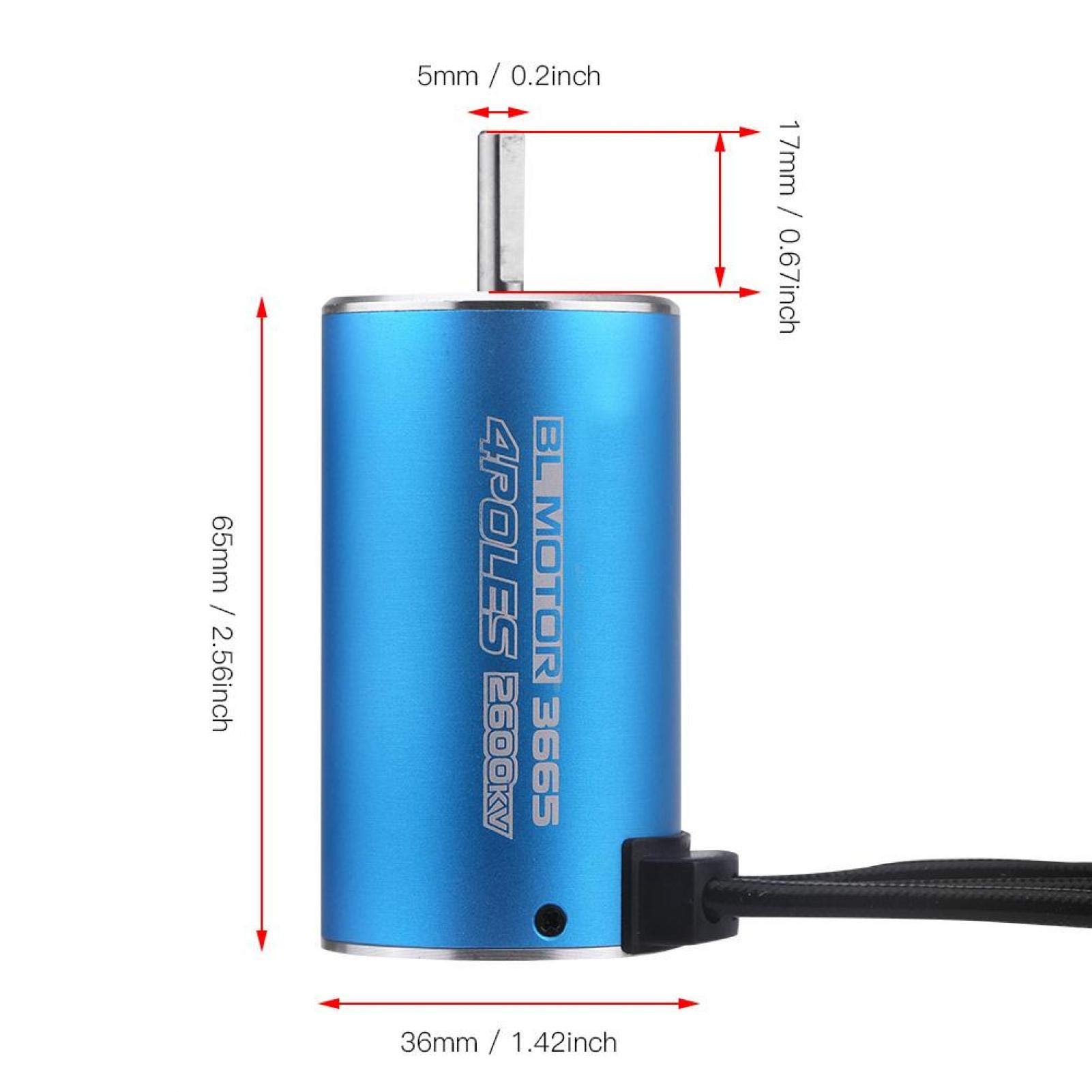 Dilwe Motor sin escobillas 2600KV, 4 RC Barco Motor sin escobillas Accesorios para Barcos y Coches de Control Remoto