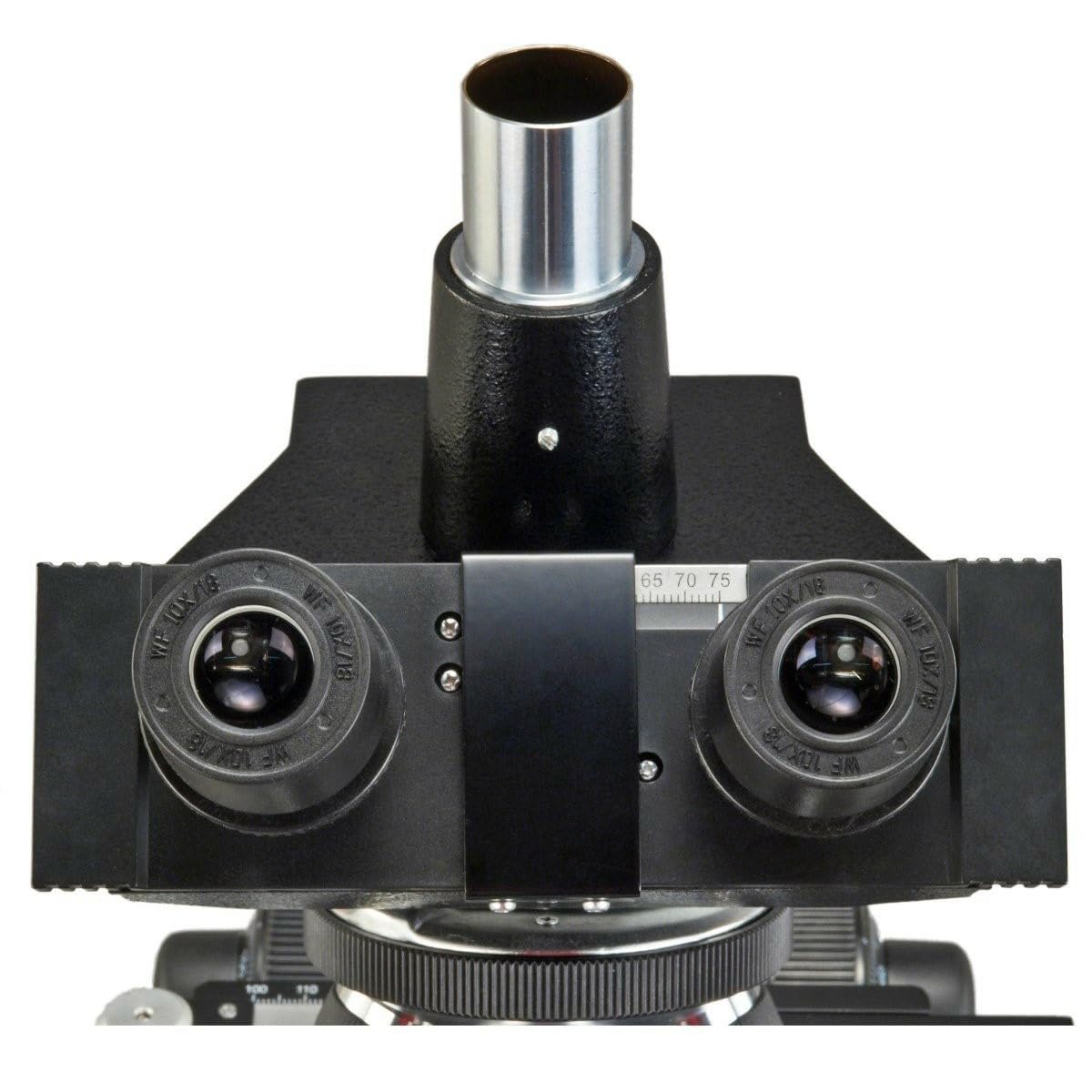 AmScope M837ZL-C100U OMAX 40X-2500X Digitales Trinokular-Verbund-LED-Mikroskop in voller Größe mit 10MP USB-Kamera und mechanischem 3D-Tisch