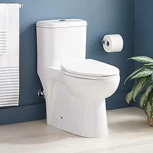 Signature Hardware 447346 Alledonia 1.28 GPF One Piece Elongated Chair Height Toilet - Seat Included