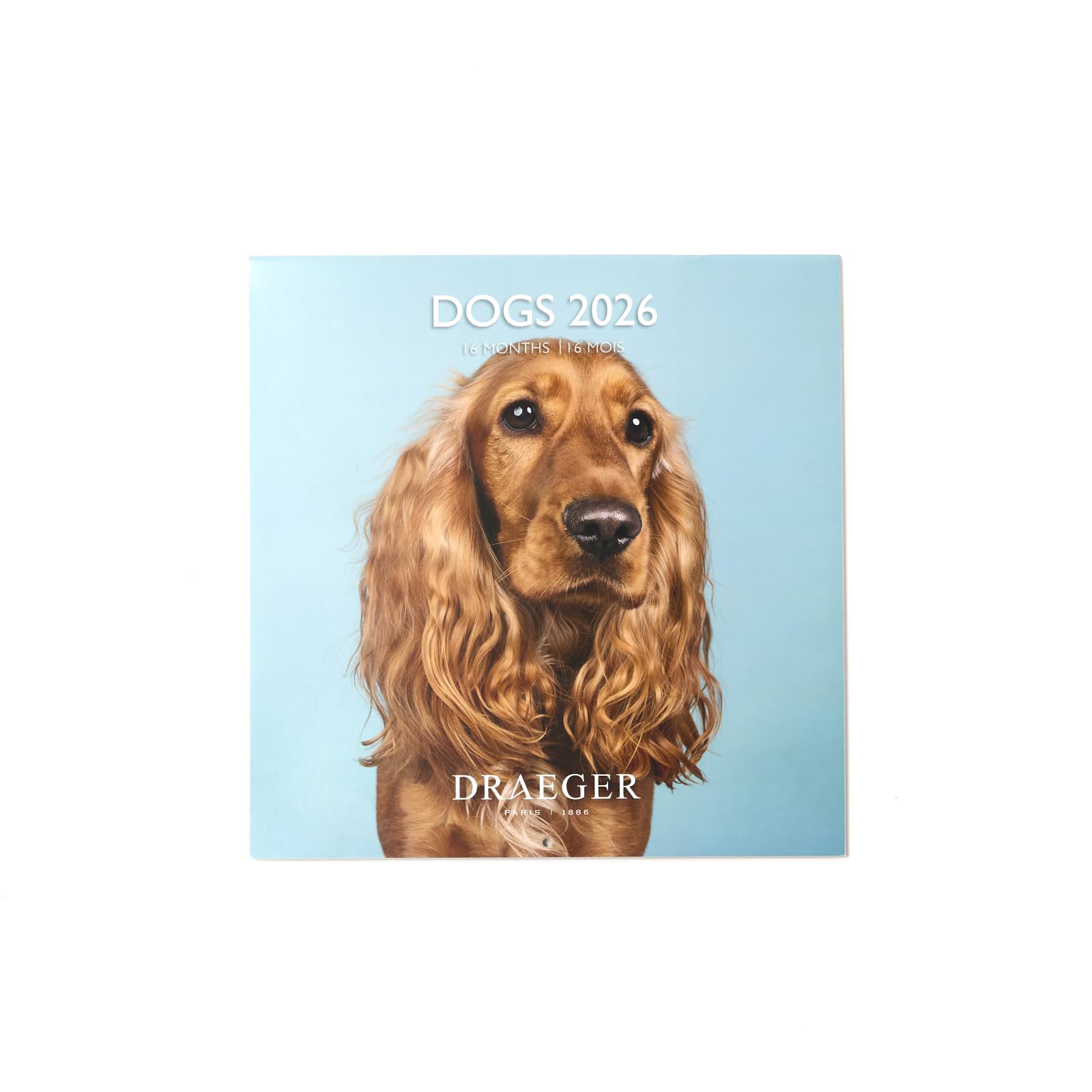 DRAEGER PARIS 1886 - Large Wall Calendar 28 x 29 cm 2026 - Dogs Theme - 12 Months - FSC Paper - Detachable Illustrations