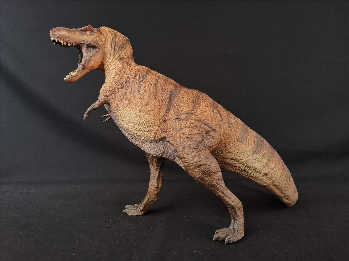 Amazon.co.jp: PNSO ティラノサウルス・レックス T-REX T