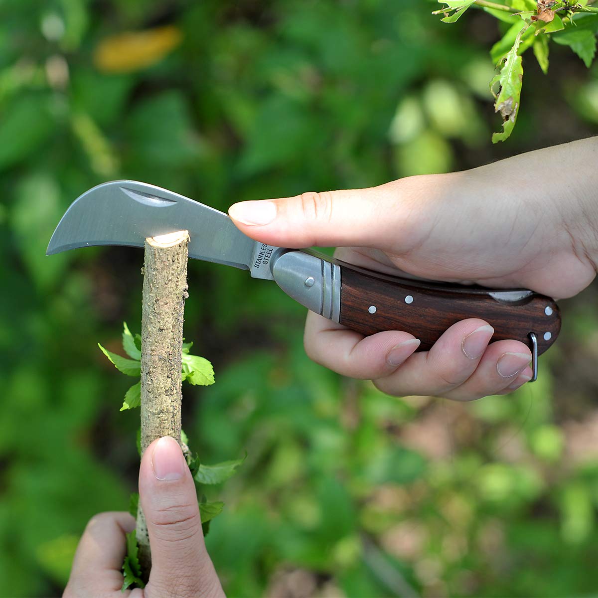 Buy LinsenOutdoor Pruning Knife with Lock Back,Grafting Knife