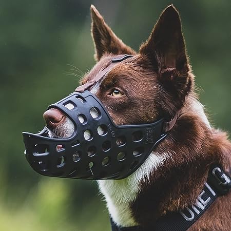 basket style muzzle