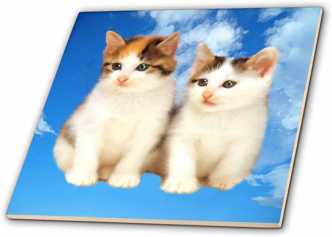 3dRose ct_4335_6 Two Kittens Glass Tile, 6-Inch