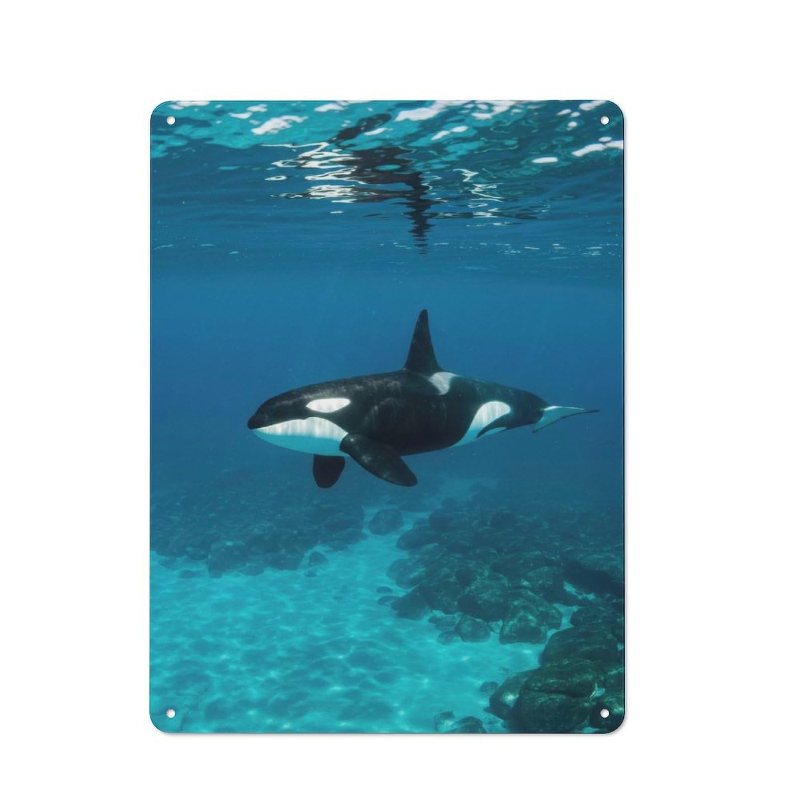 Junmoney Orca Underwater For Living Room Or Hallway, Rustic Metal Sign 40X30cm, For Home Interiors, Feature Walls And Decorative Displays