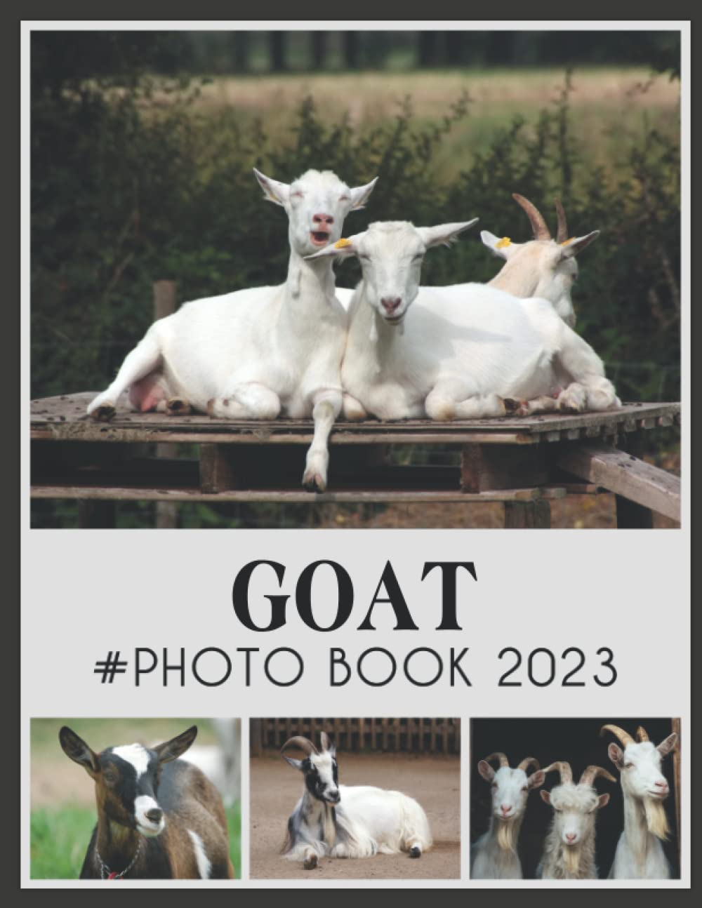 Goat Photobook: Photo Book Of Goat With 30+ Pictures, 2023 Photo Albums, Picture Book Birthday Christmas Gifts For Men Women Dad Mom