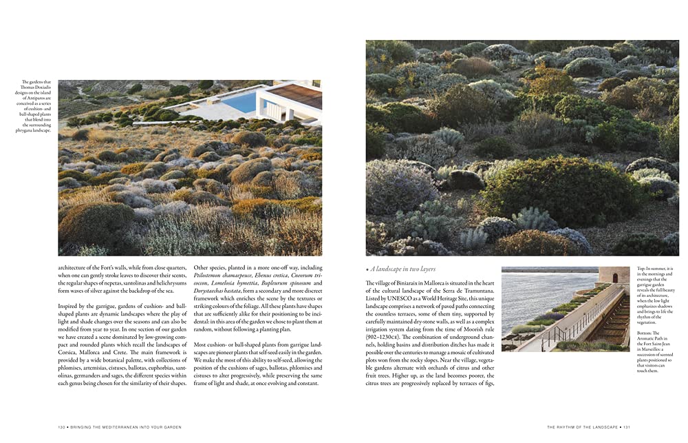Bringing the Mediterranean into Your Garden: How to capture the natural beauty of the garrigue