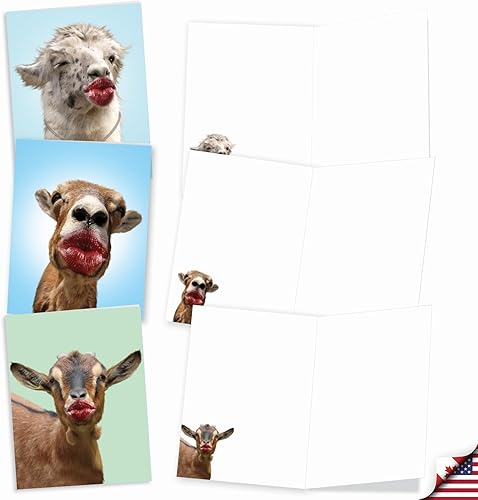 Miniatura 2 de The Best Card Company Juego surtido de tarjetas de felicitación en blanco, incluye 20 tarjetas + sobres, 10 diseños únicos, perfecto para