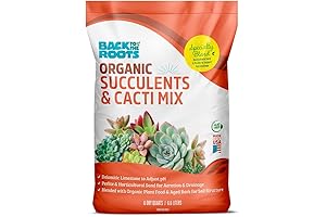 Back to the Roots Best Soil for Cactus 100% Organic Succulent & Cacti Mix